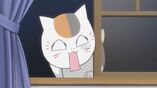 Zoku nyanko-white