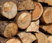 Wood