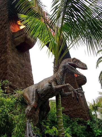 File:Velociraptor.jpg