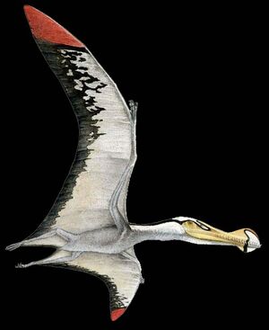 Pterosaur