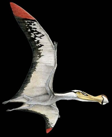 File:Pterosaur.jpg