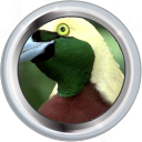 File:Badge-picture-4.png