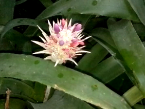 Vlcsnap-2014-01-09-22h37m54s28.png