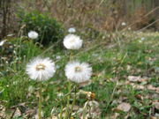 Bild 002