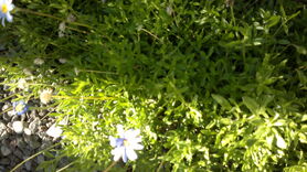 050920131819.jpg