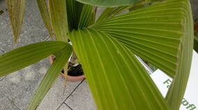290820131673.jpg