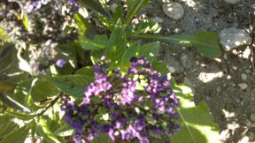 050920131745.jpg