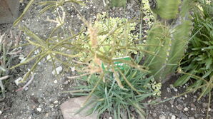 290820131712.jpg