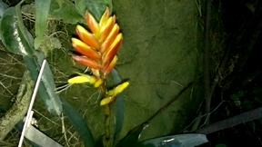 Vlcsnap-2014-01-09-22h38m16s244.png