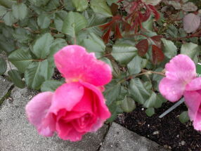 140920131957.jpg