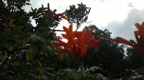 290820131679.jpg