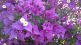 260720131412.jpg