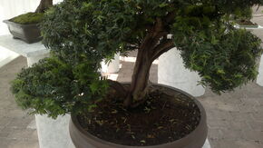 220620131098.jpg