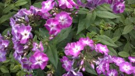 260720131430.jpg