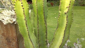 290820131715.jpg