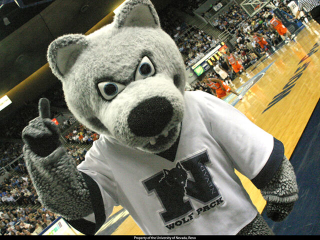 File:Alphie 4.jpg