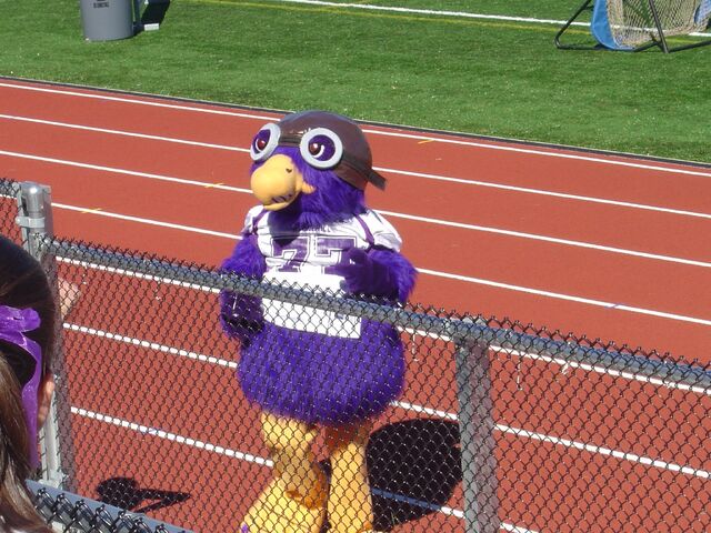 File:Ace the Skyhawk.jpg