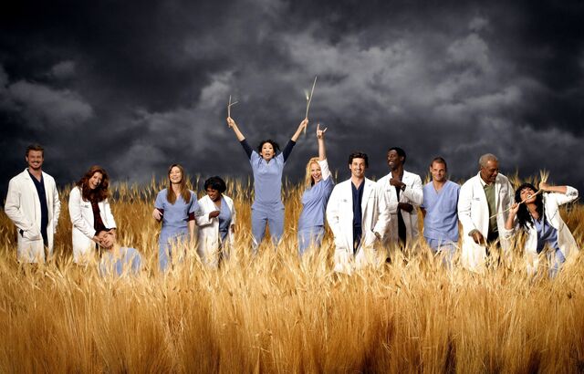 Datei:Grey's Anatomy.jpg