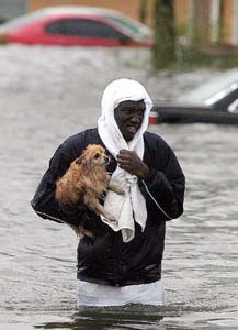 Man saving dog