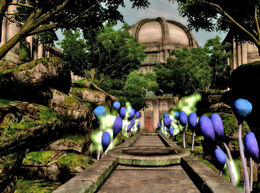 Thehopegarden