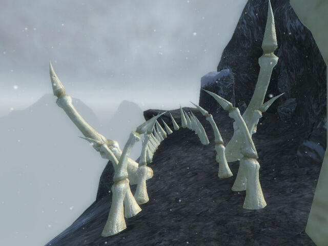 File:Road to Dragon Cave.jpg