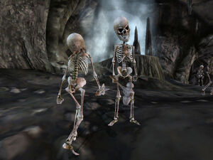 Bone Flayer01