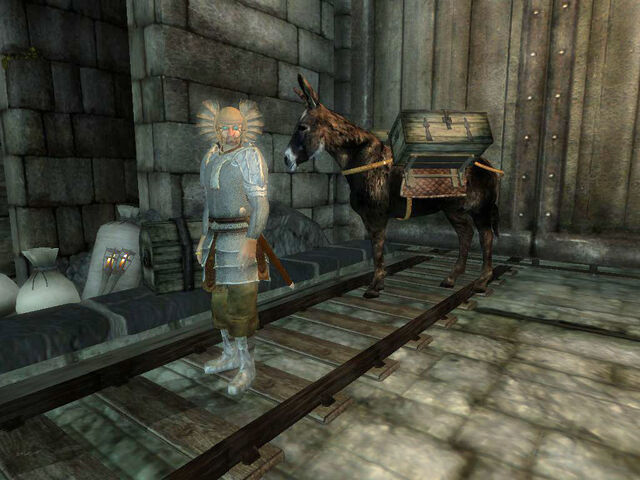File:Traveler Roland in Anku.jpg
