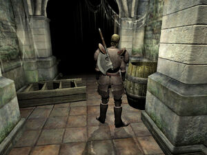 Higher Skeleton02