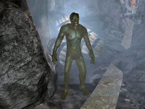 Rotten Creature01