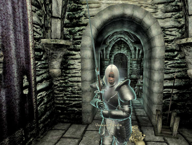 File:Paladin5.jpg