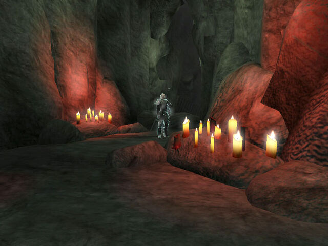 File:The Palladin awaits.jpg