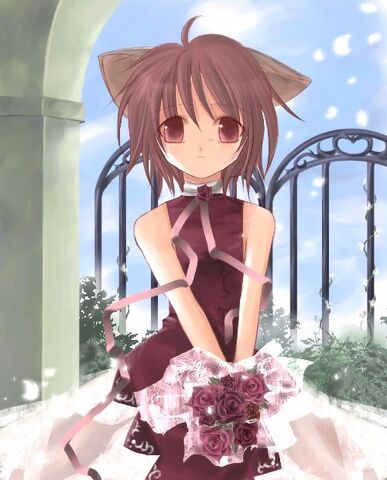 File:Neko (22).jpg