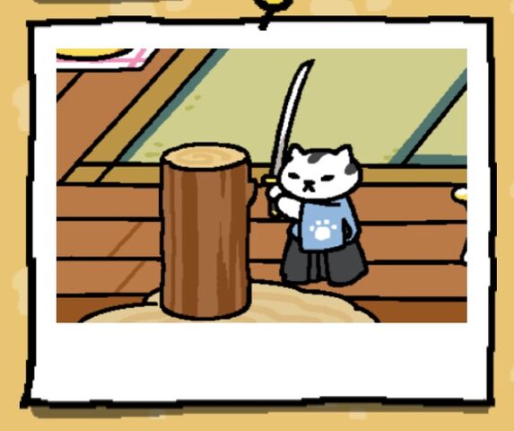 File:MrMeowgi2.jpg