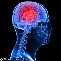 Neurony.jpg