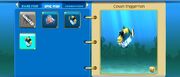 Triggerfish Twins Glitch 1