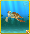 Thumbnail for version as of 07:23, July 2, 2014