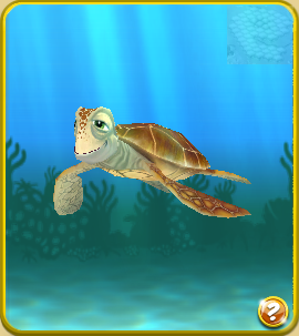 File:Friend12.png