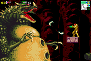 Kraid-zero mission