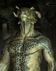Argonian