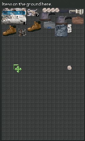 File:Items on the ground.png