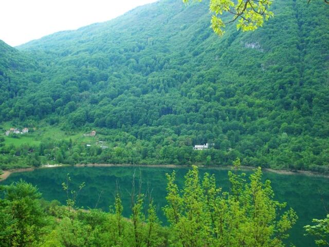 File:0000360282 l 0 gu1eei.jpg