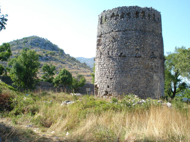 File:29608493.jpg