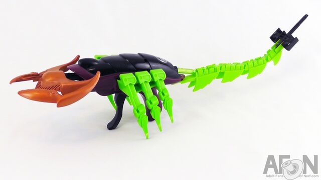 File:Whiptailscorpion.jpg