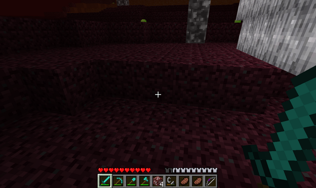 File:Netherdirt.png