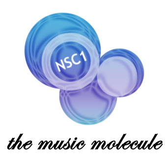 Datoteka:NSC1LOGO.png