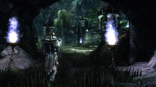 File:Neverwinter Screen19.jpg