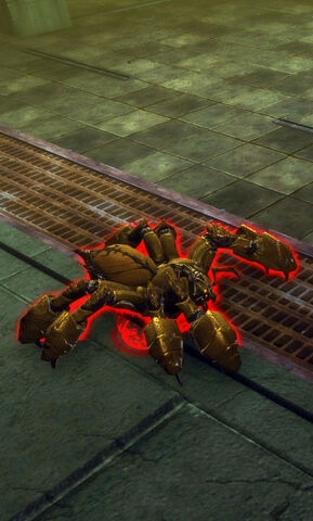 File:Spider Deathjump Spider.jpg