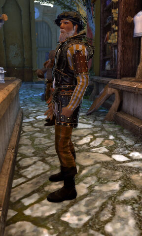 File:Armor Merchant - Rolf Hammersmith.jpg