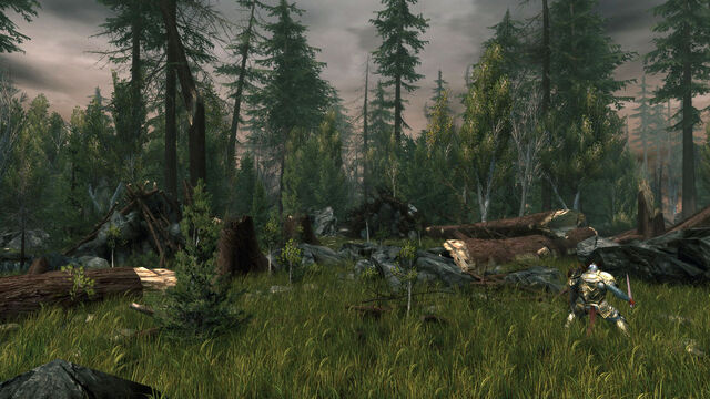 File:Neverwinter Screen10.jpg