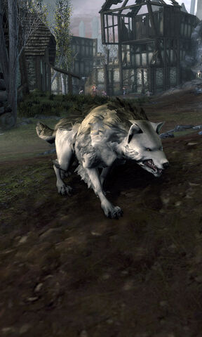 File:Orc Wolf.jpg